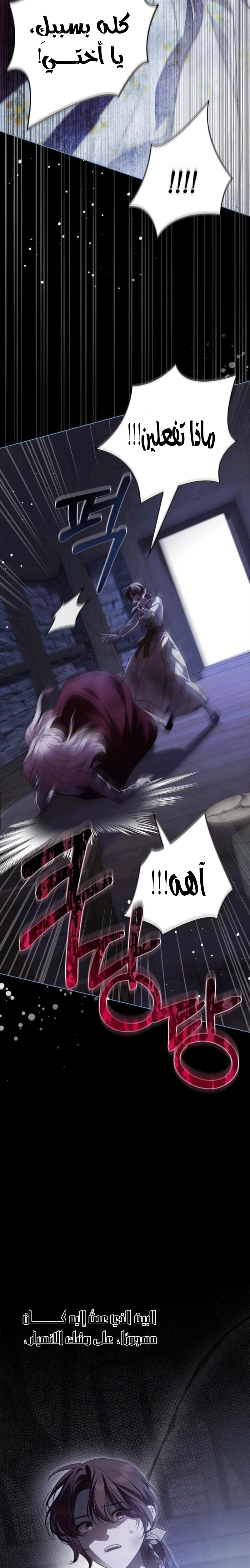 الصفحة 25