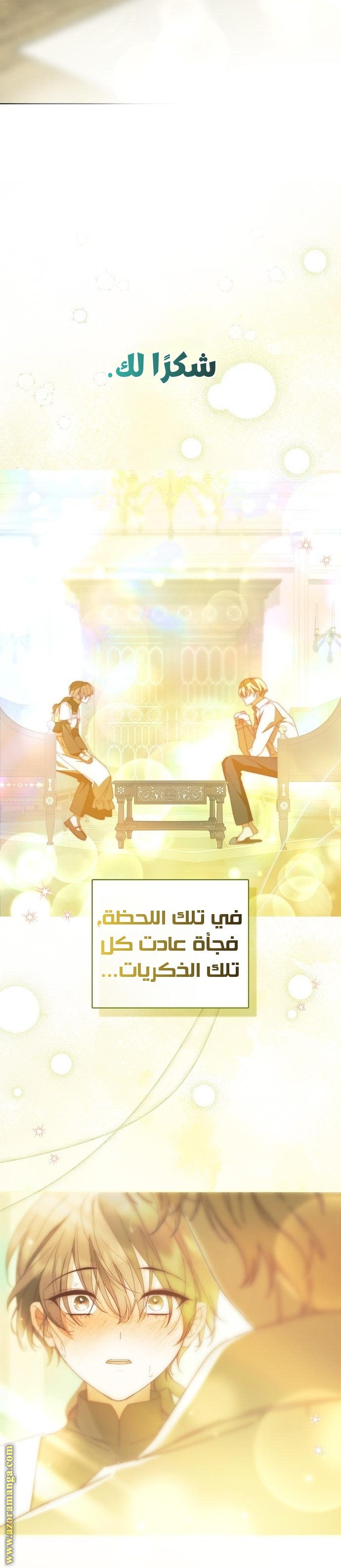 الصفحة 13