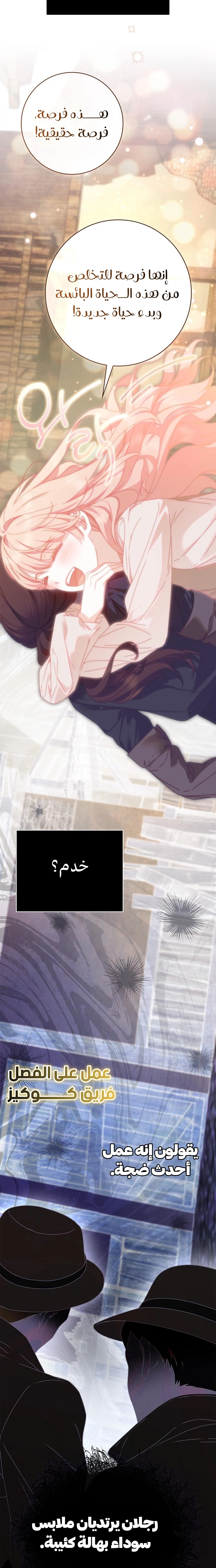 الصفحة 17