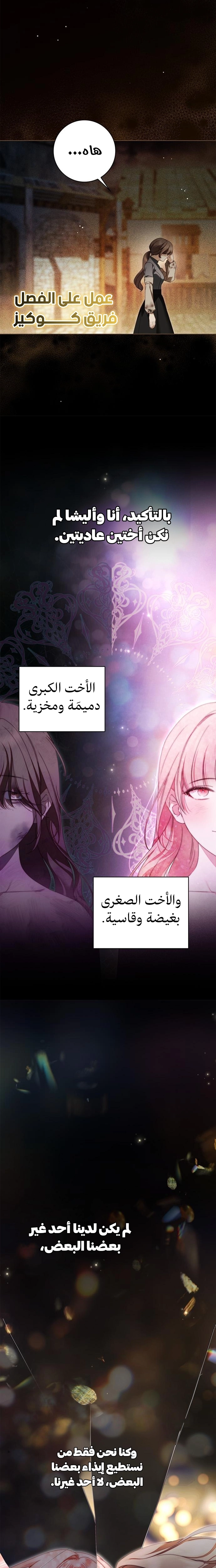 الصفحة 24