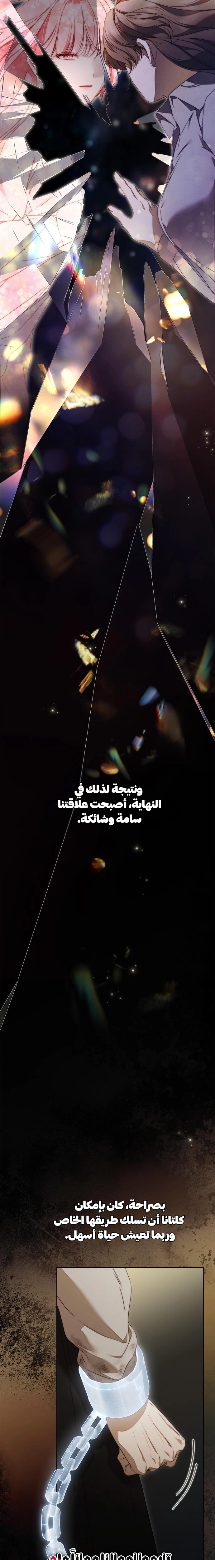 الصفحة 25