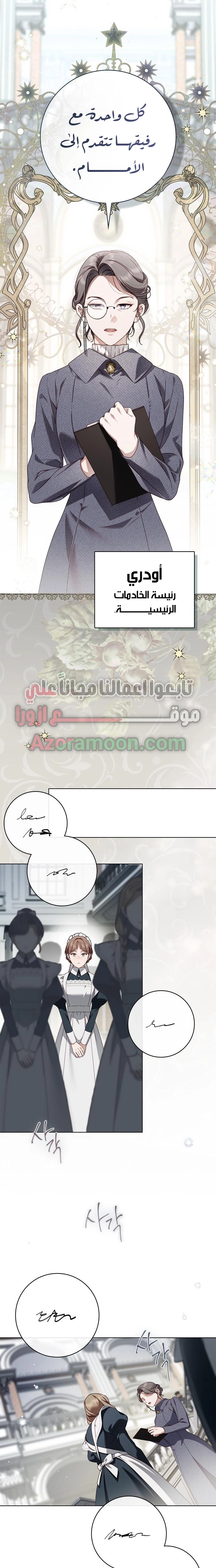 الصفحة 17