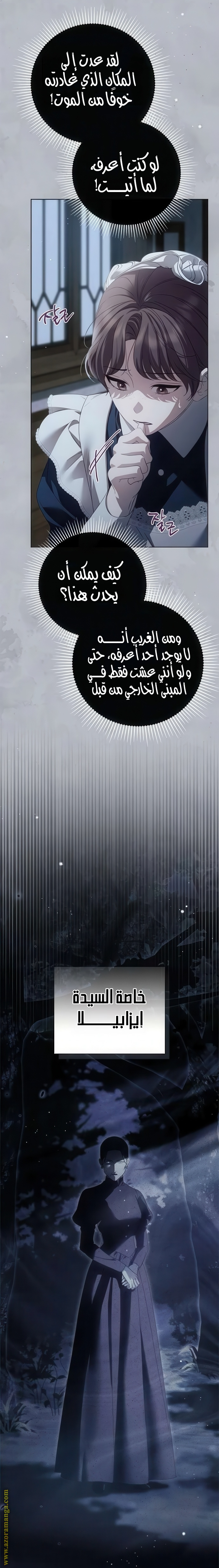 الصفحة 25