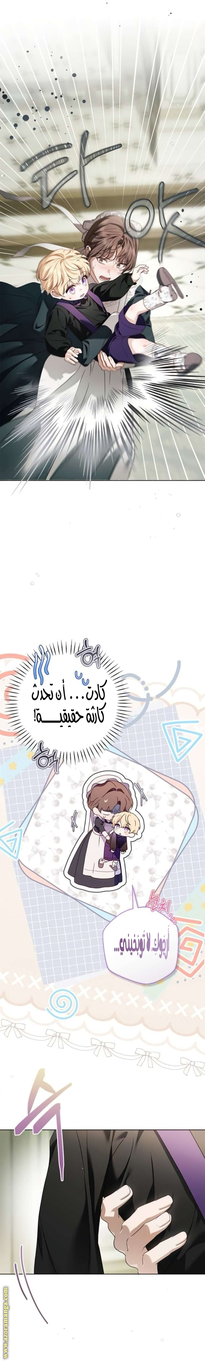 الصفحة 17