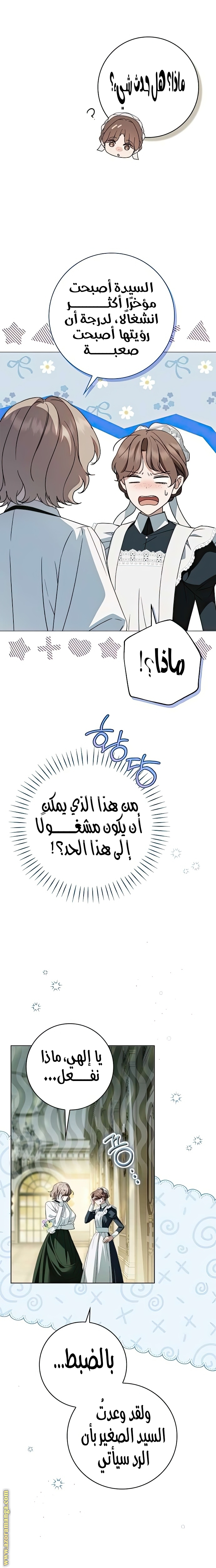 الصفحة 25