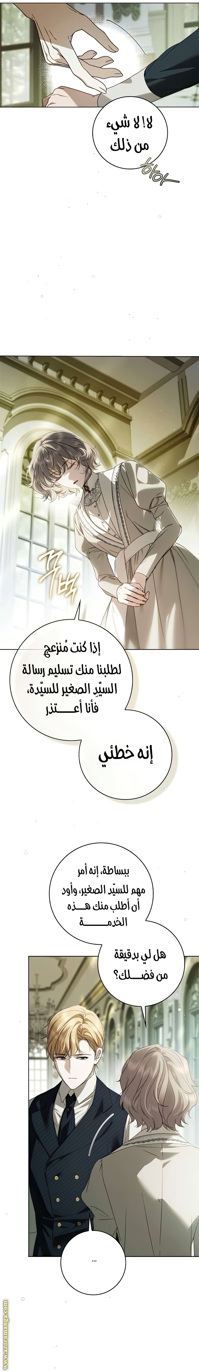 الصفحة 17