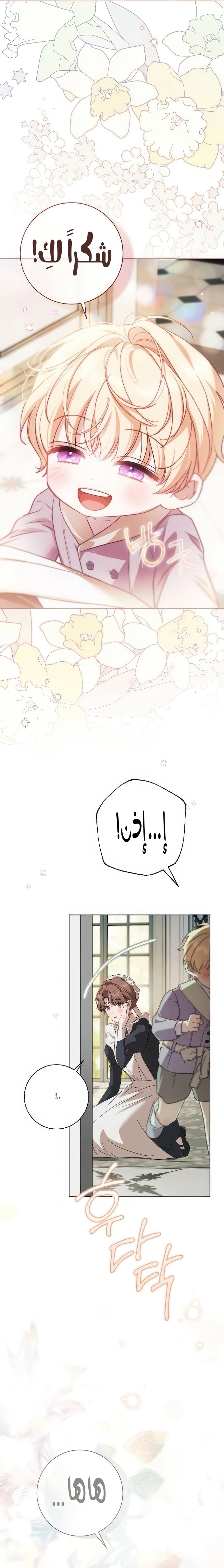 الصفحة 17