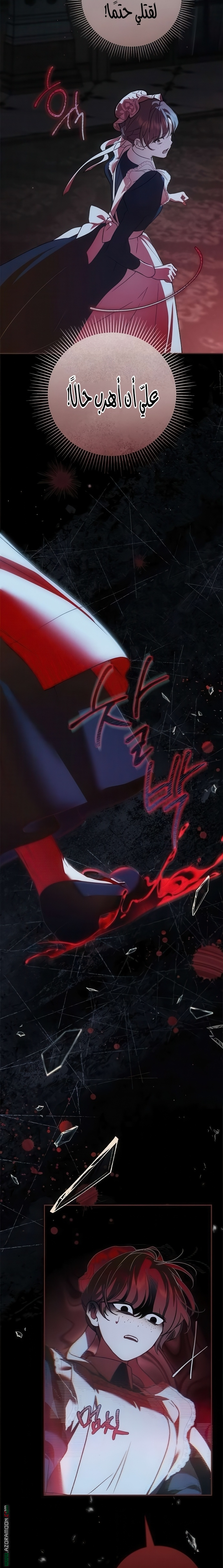 الصفحة 17