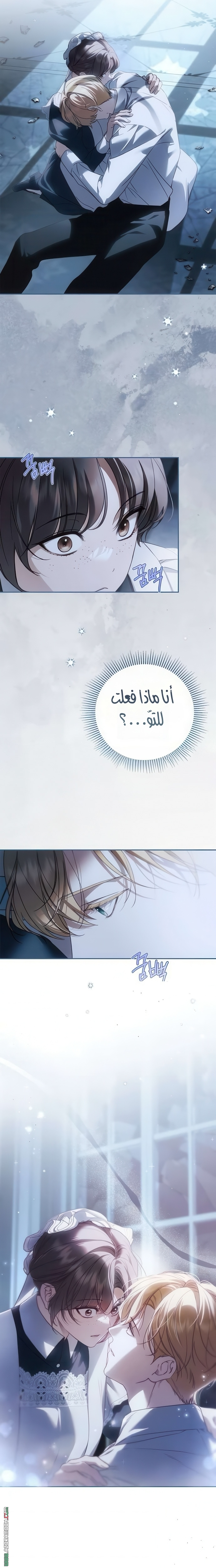الصفحة 25