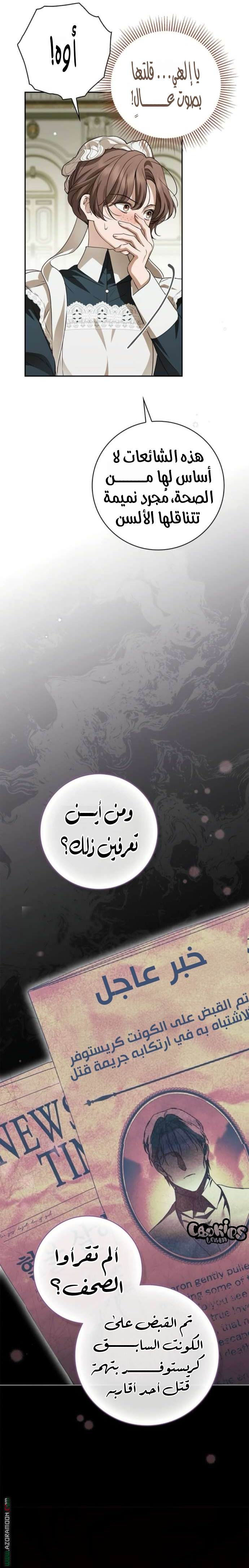 الصفحة 16
