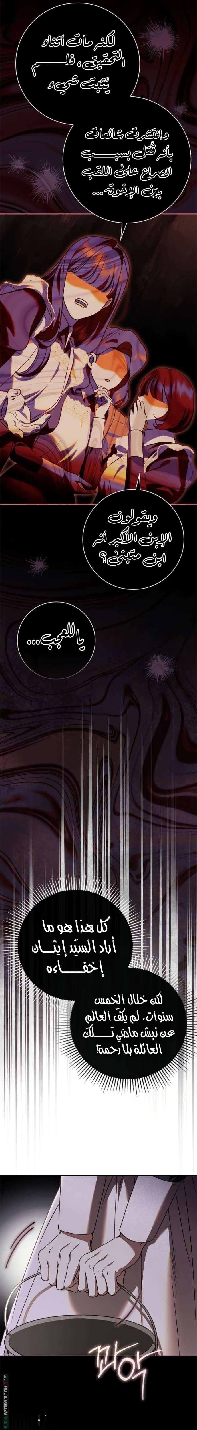 الصفحة 17