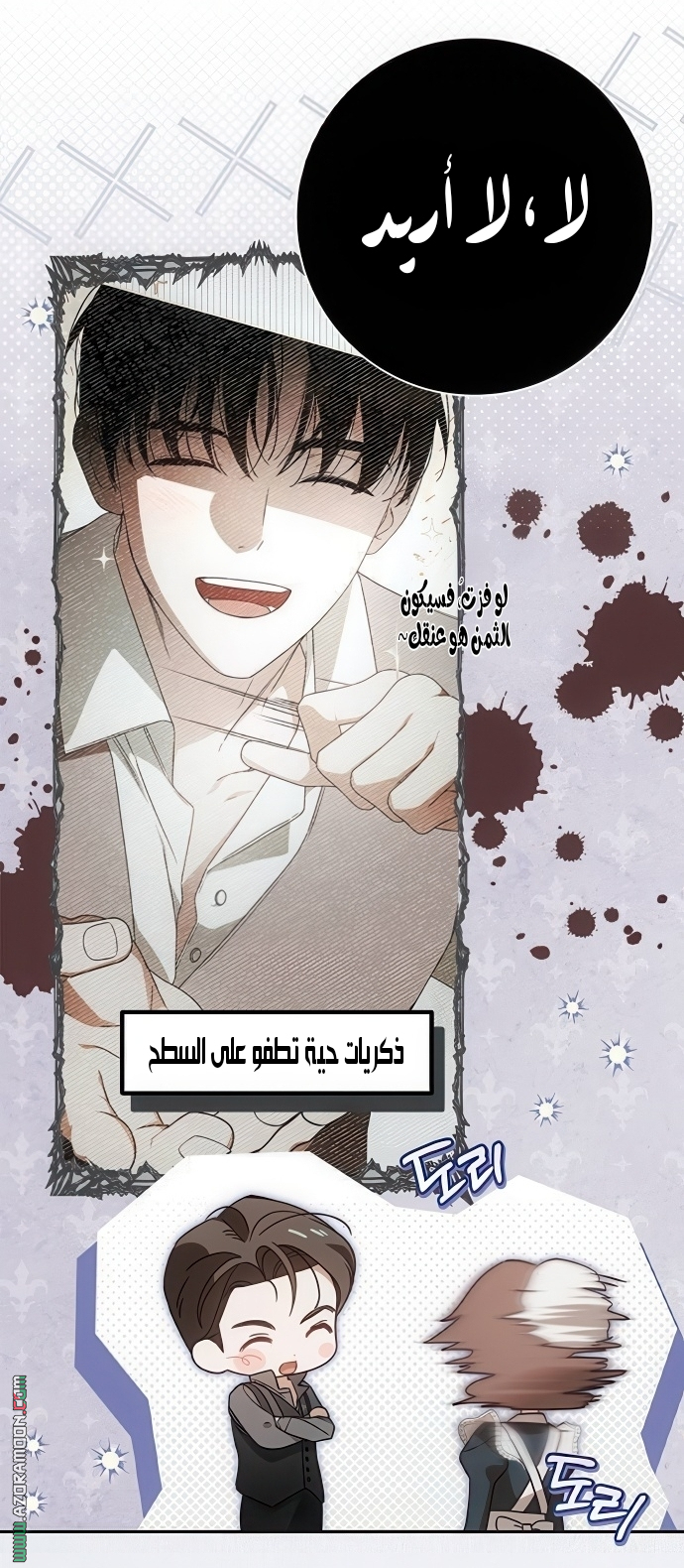 الصفحة 13