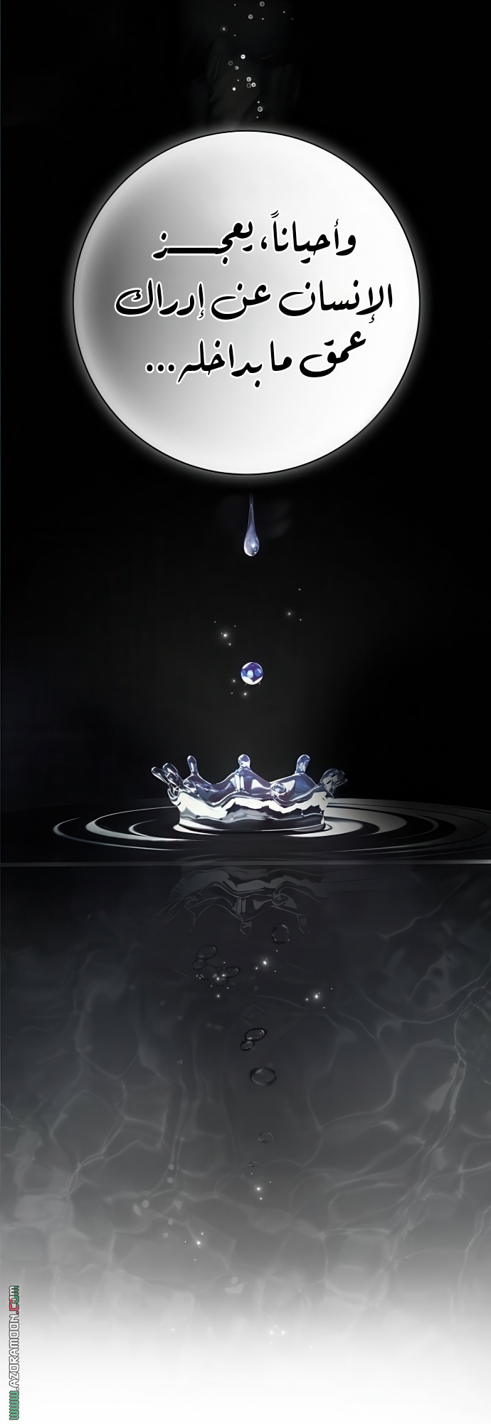 الصفحة 24