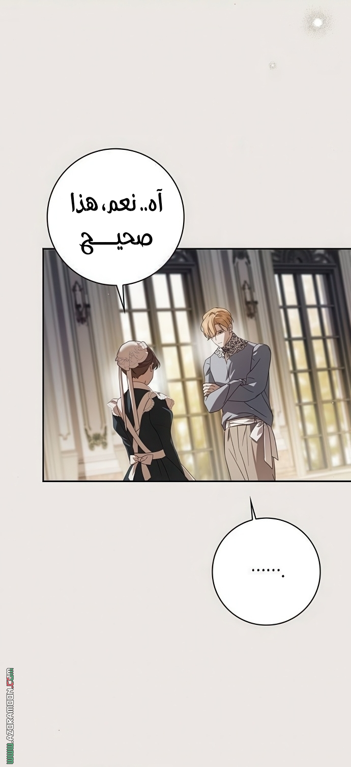 الصفحة 39