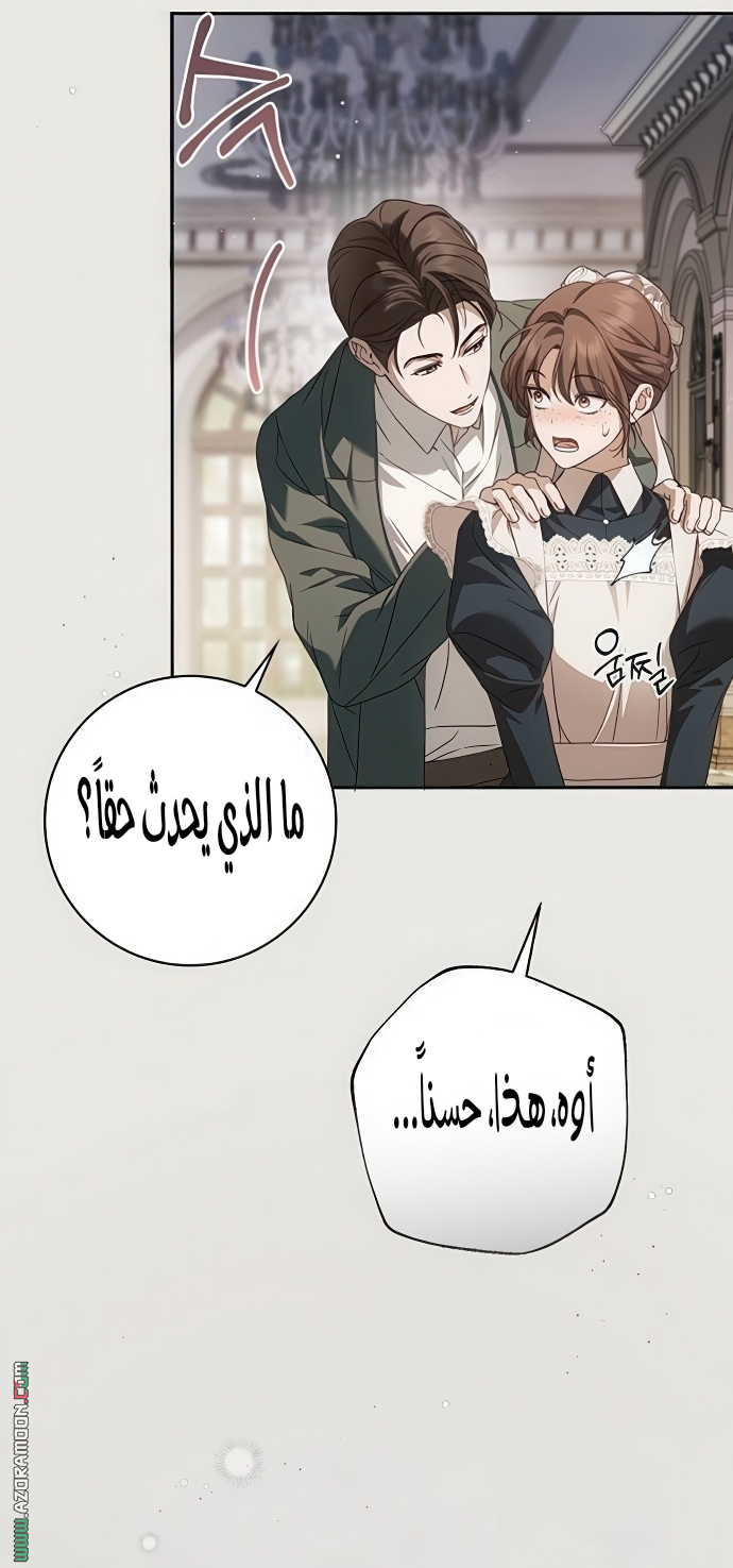 الصفحة 45