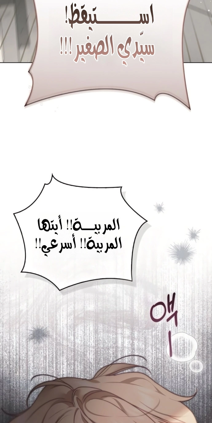 الصفحة 41