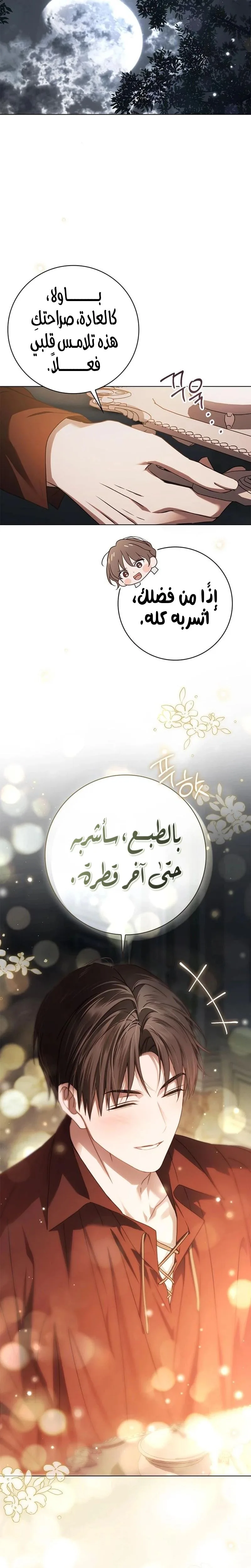 الصفحة 26