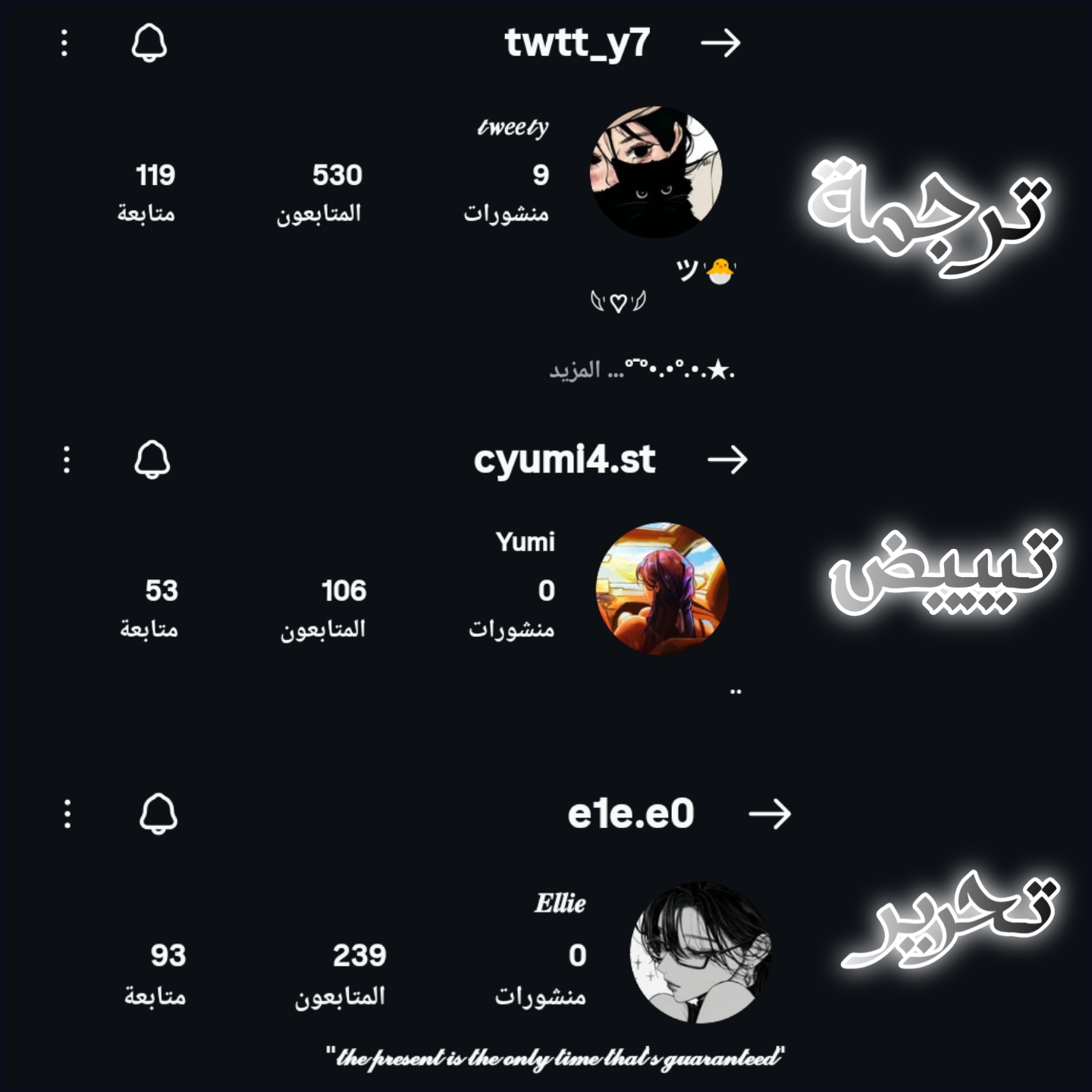 الصفحة 11