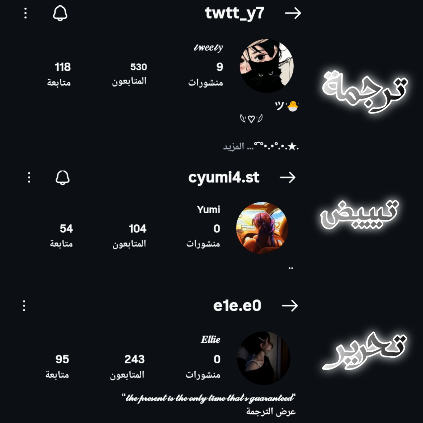الصفحة 12