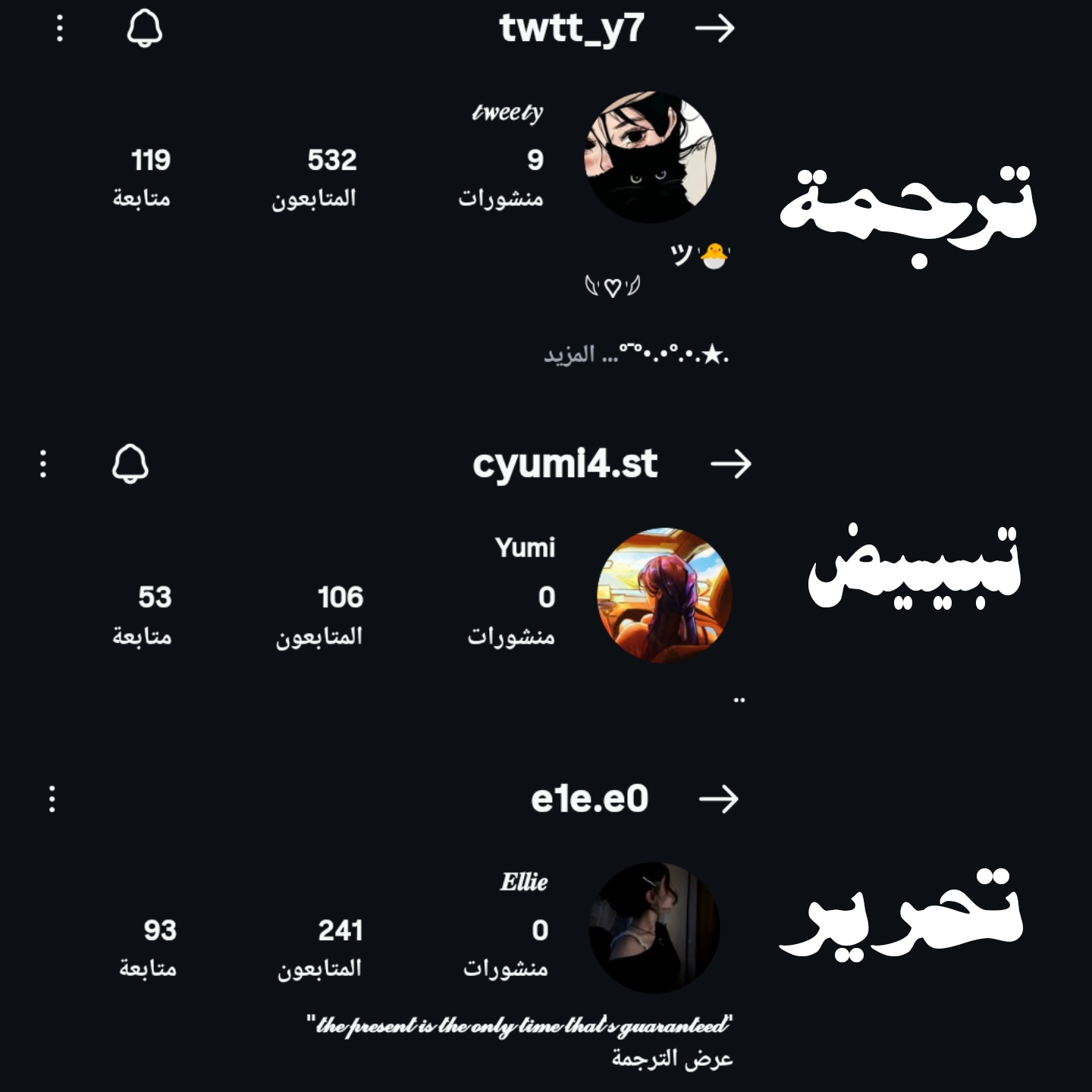 الصفحة 11