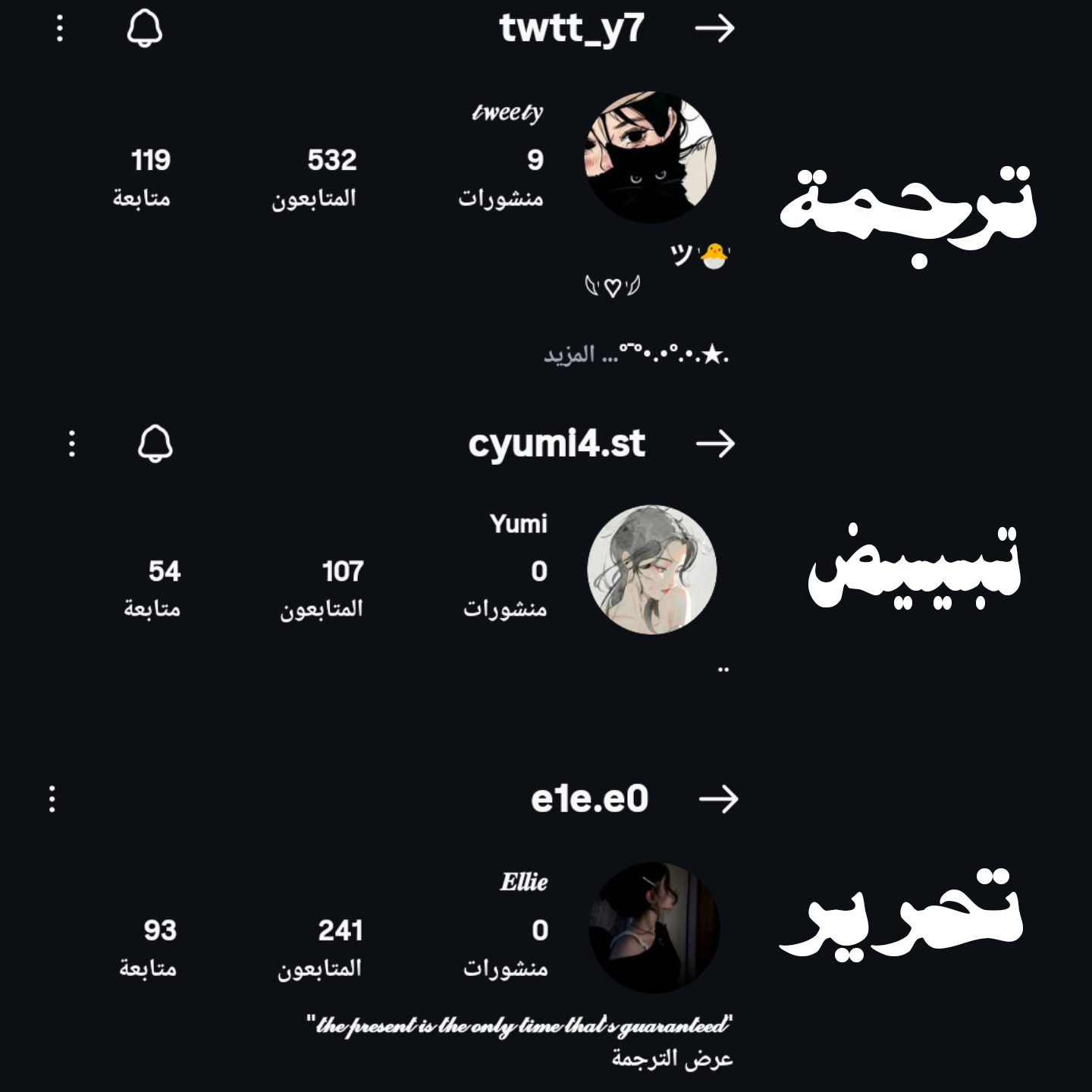 الصفحة 16