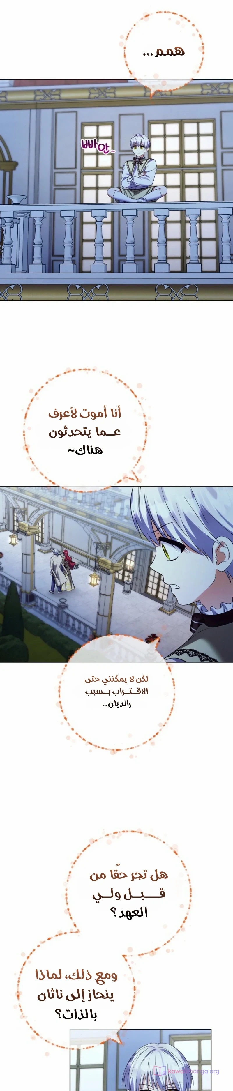 الصفحة 13