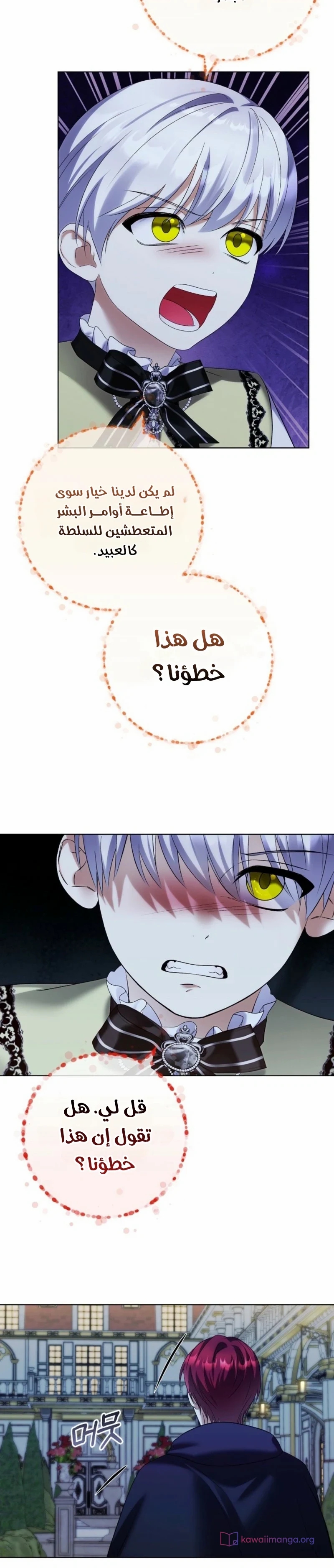 الصفحة 20