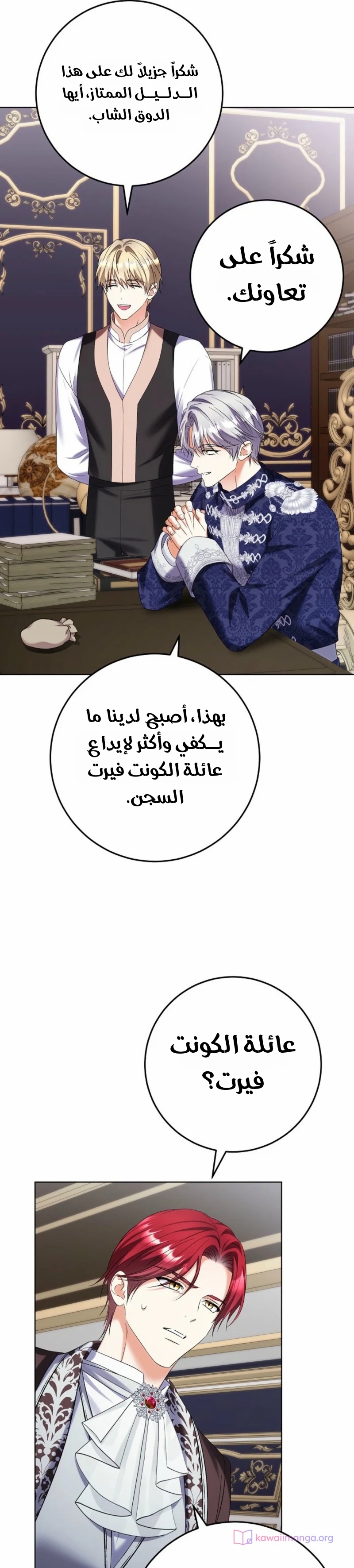 الصفحة 17