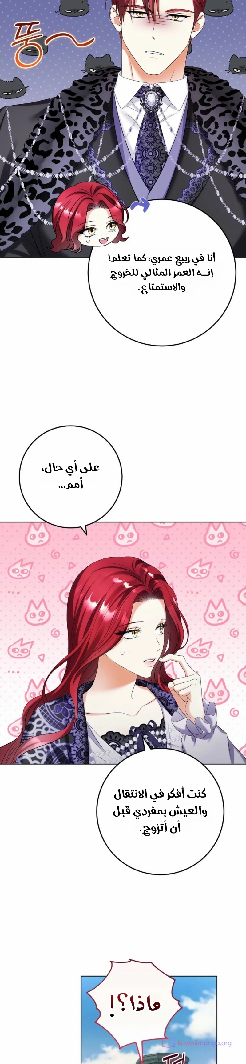الصفحة 22
