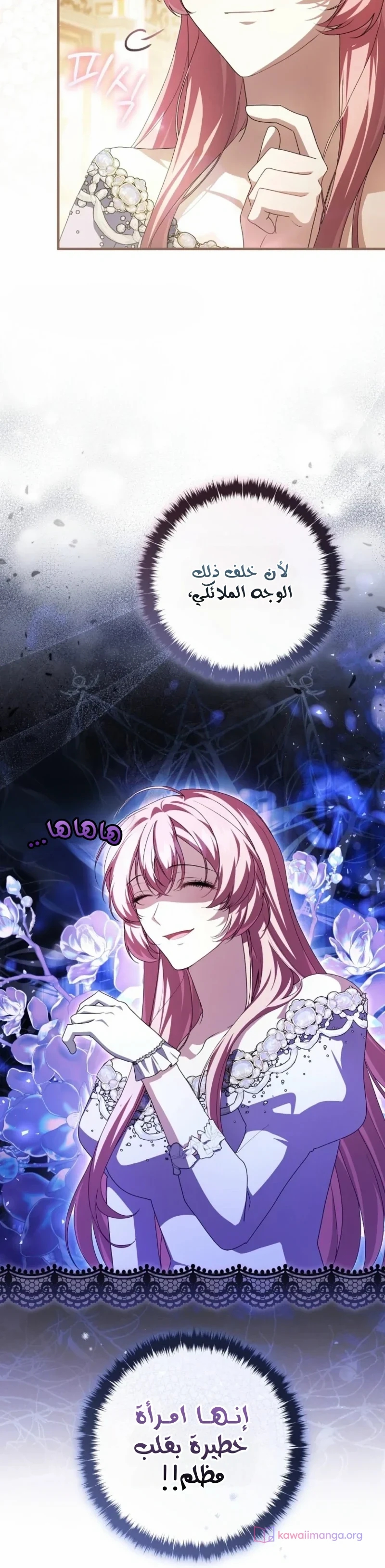 الصفحة 13