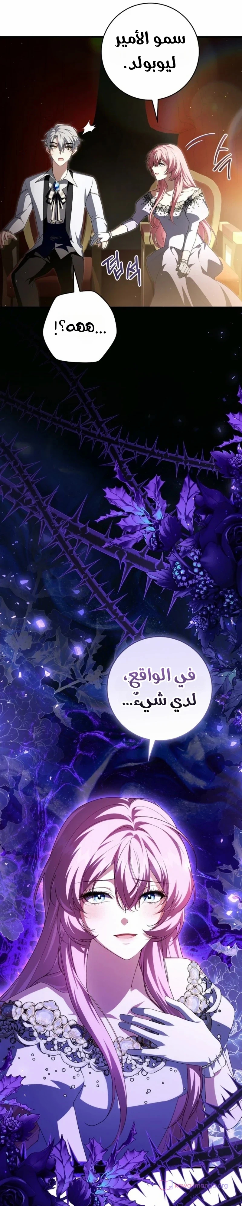 الصفحة 26