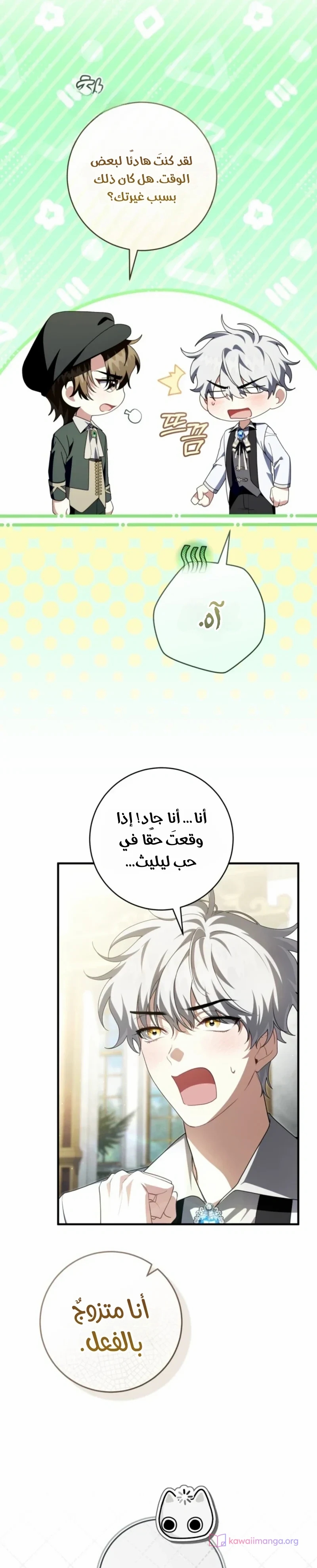 الصفحة 20