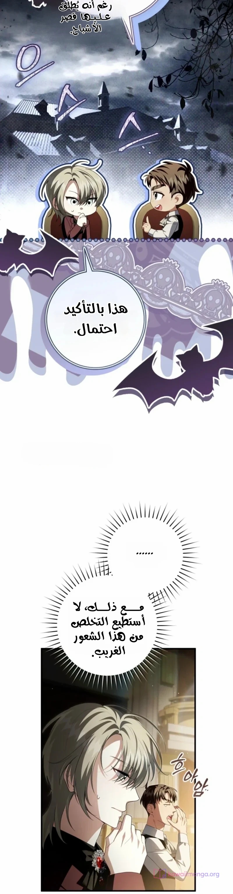 الصفحة 29