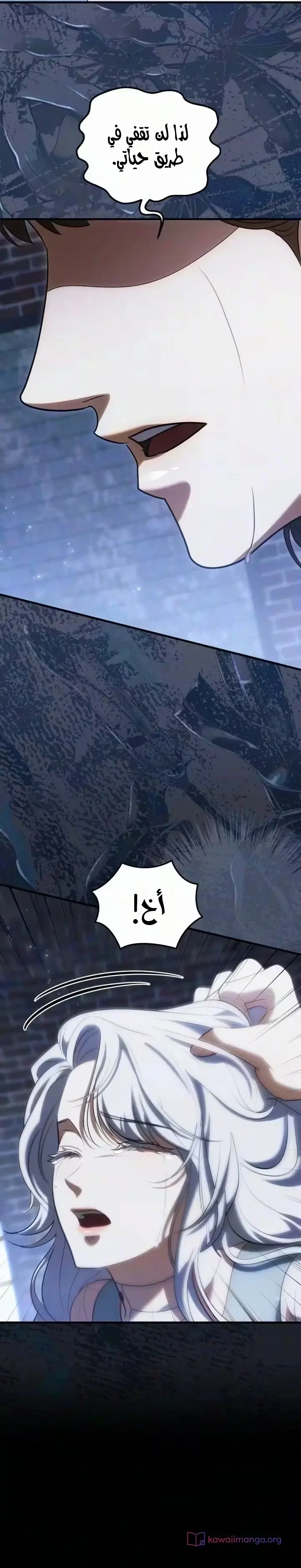 الصفحة 26