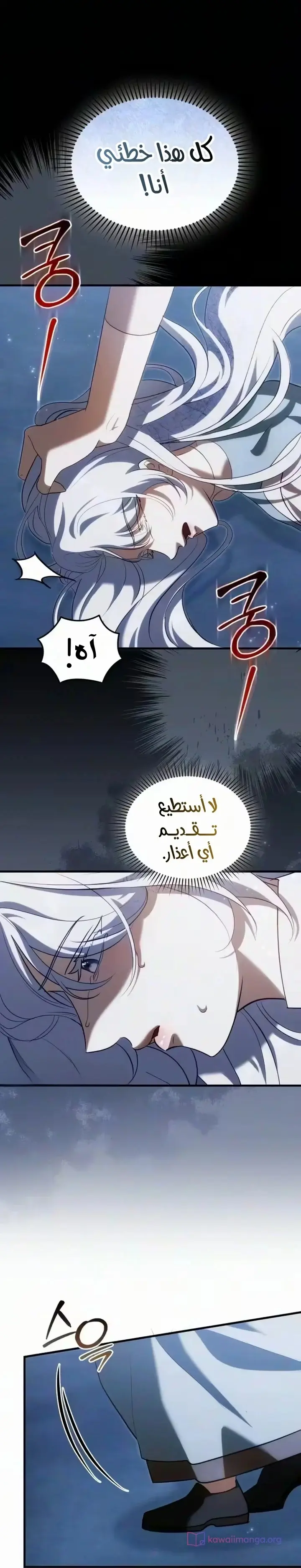 الصفحة 27