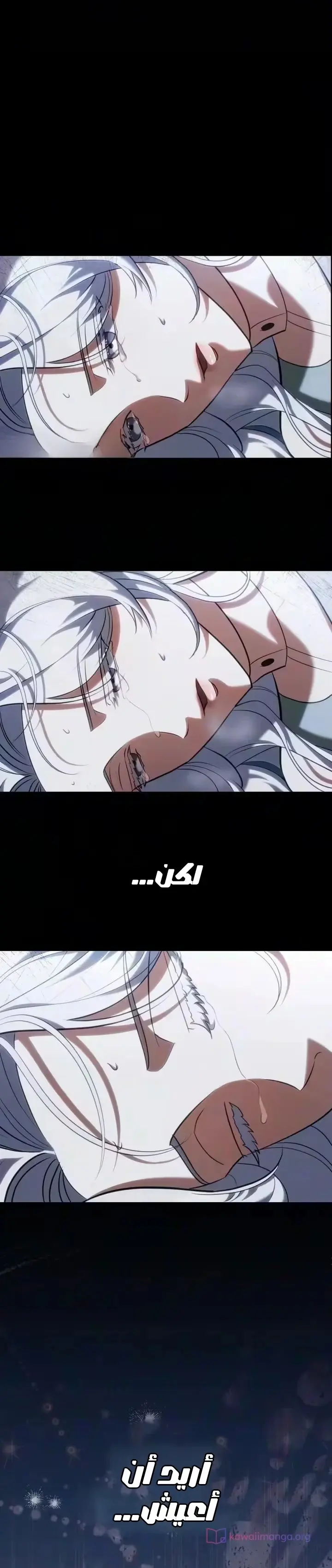 الصفحة 31