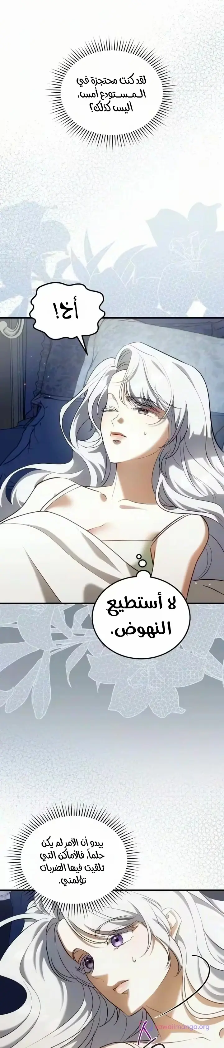 الصفحة 29