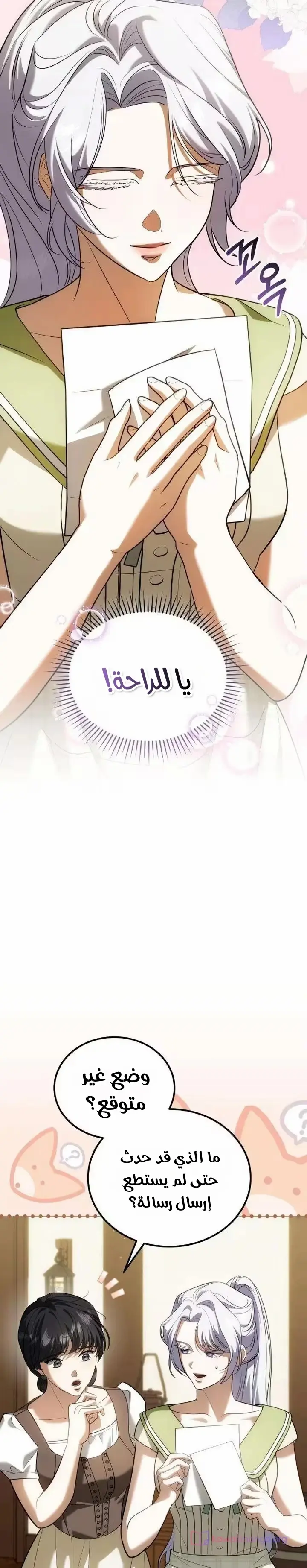 الصفحة 17