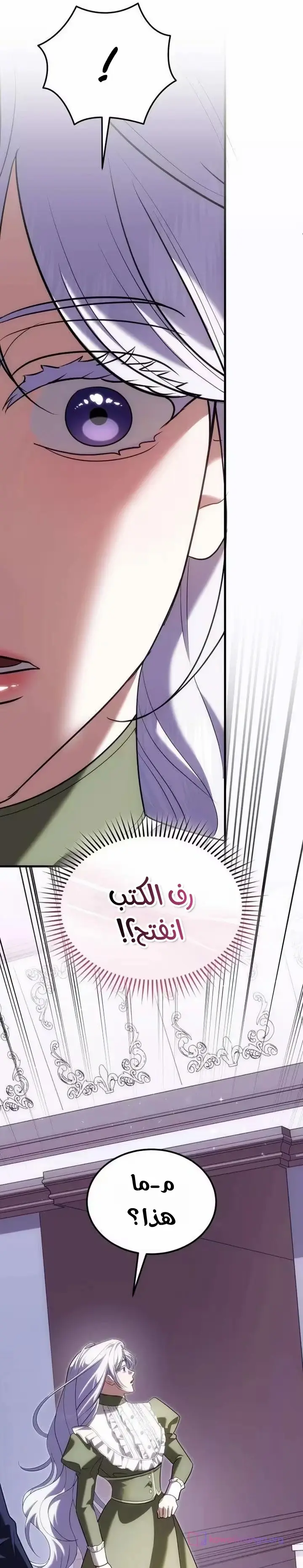 الصفحة 21
