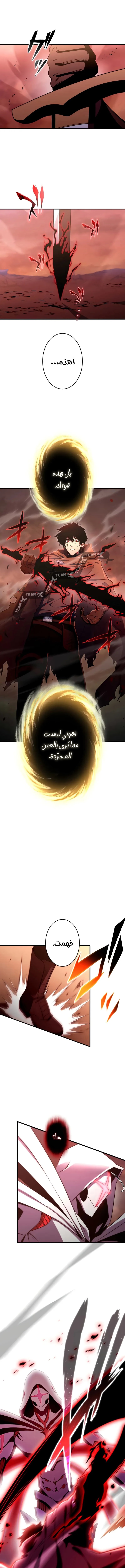 الصفحة 17