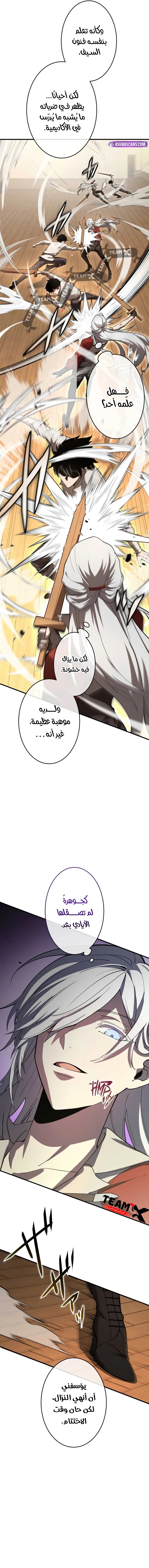 الصفحة 17