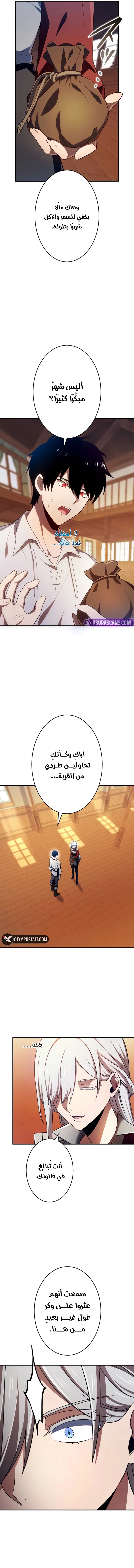 الصفحة 13