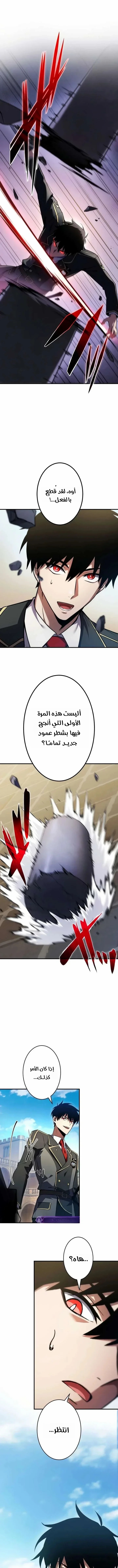 الصفحة 19