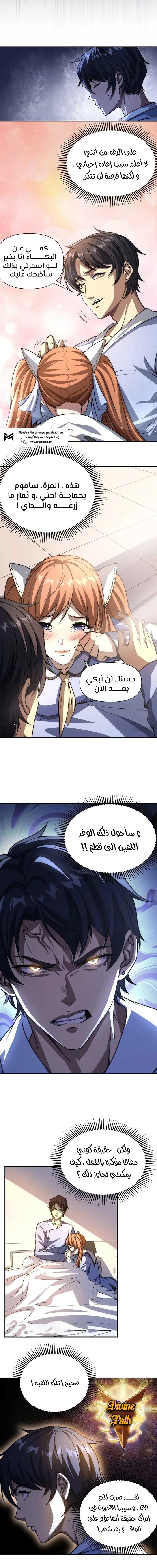 الصفحة 13