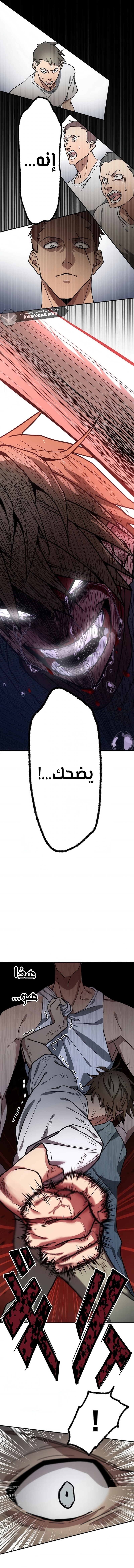 الصفحة 11