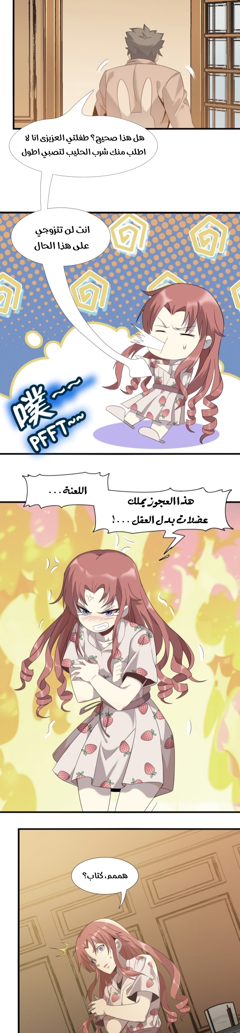 الصفحة 17
