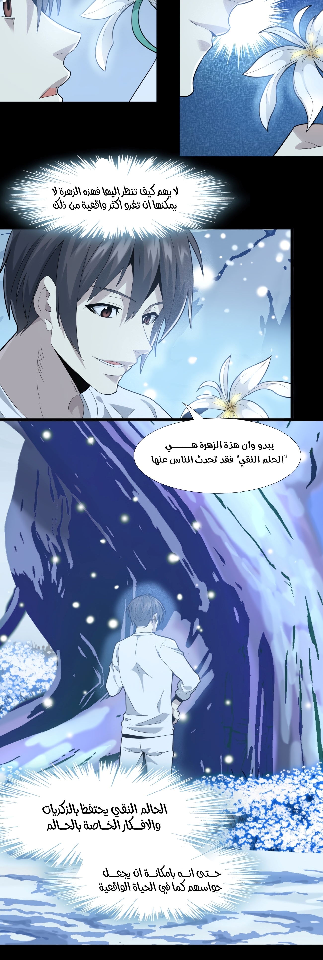 الصفحة 17