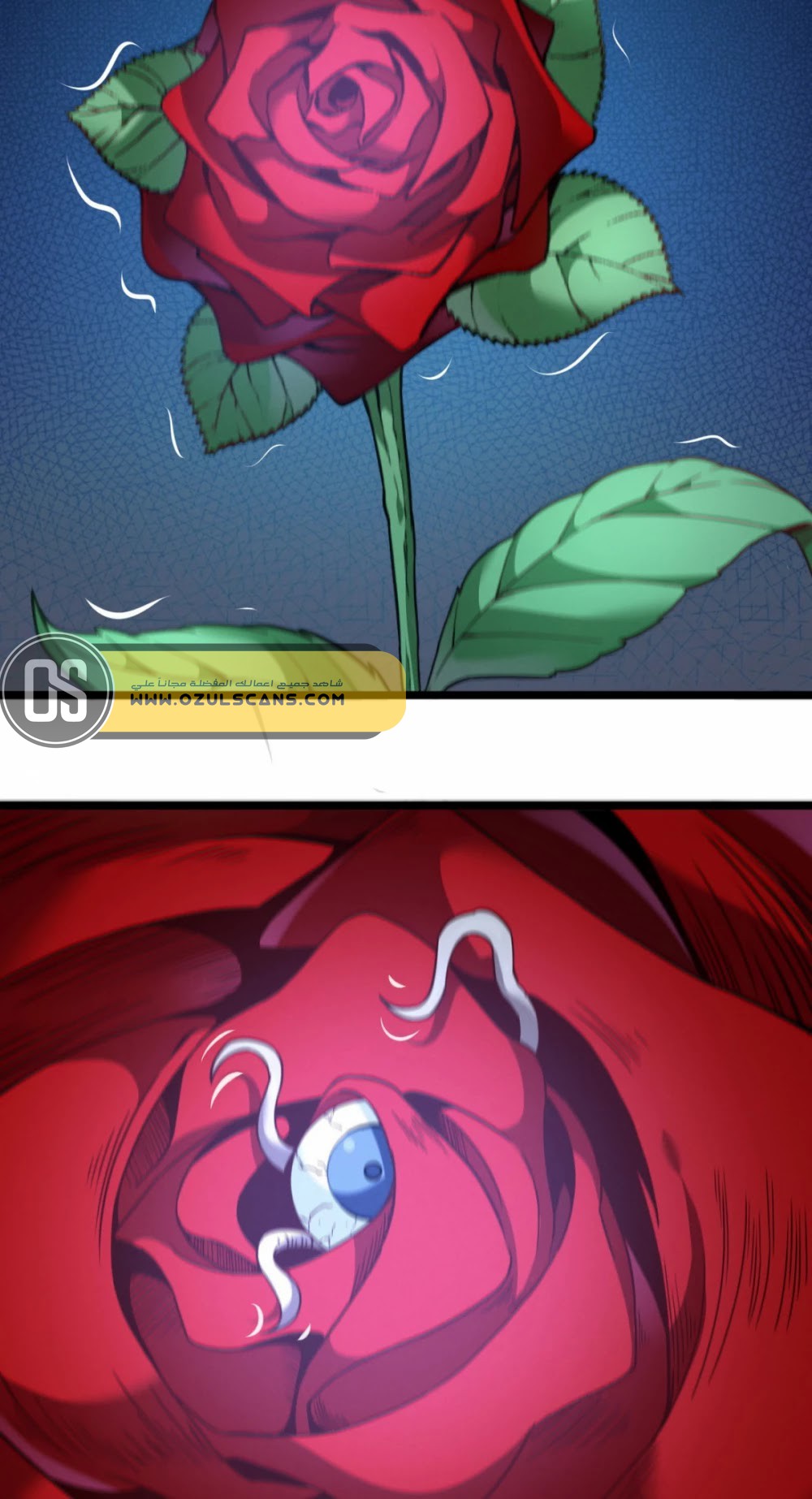 الصفحة 34