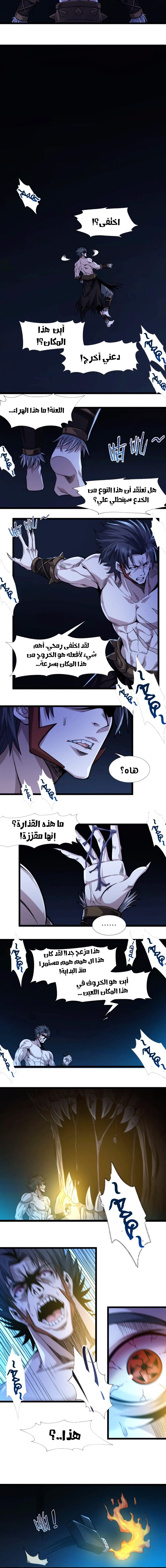 الصفحة 14