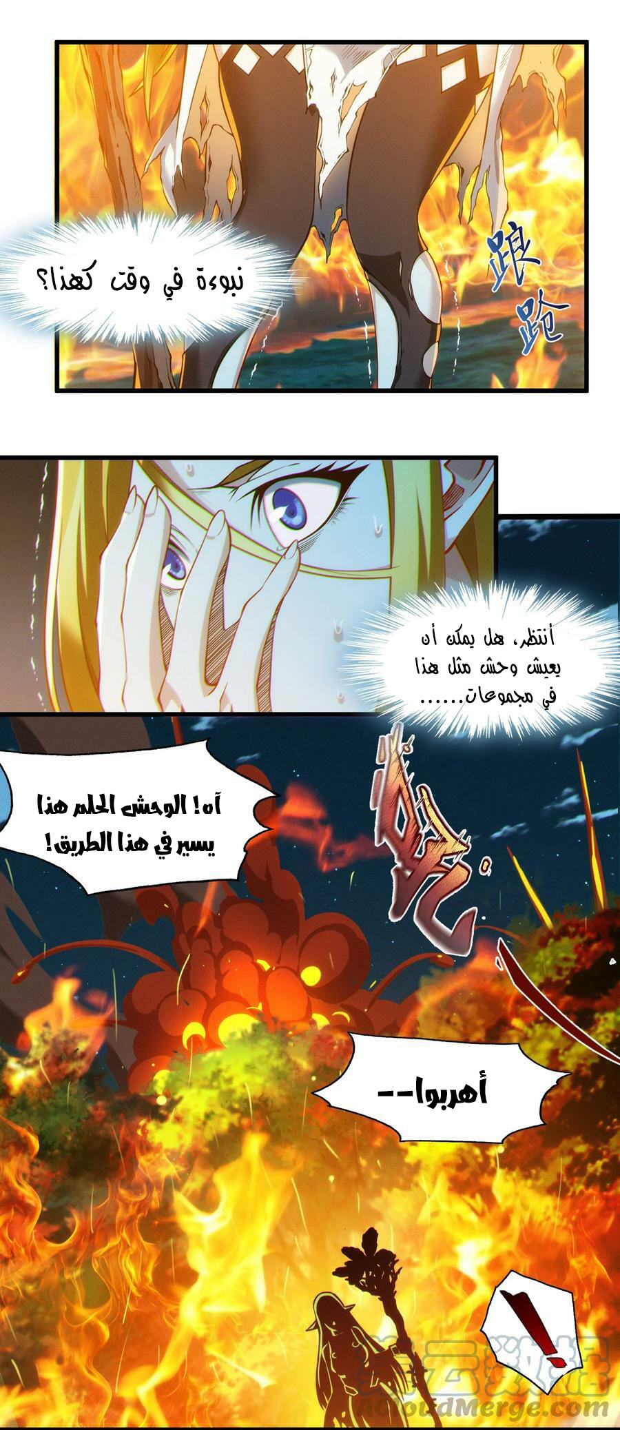 الصفحة 51